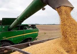 El Gobierno oficializó el esquema de reducción gradual de las retenciones para el agro