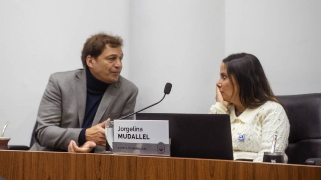 Presentan un proyecto para congelar el boleto de colectivo hasta diciembre de 2026