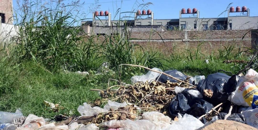 Aprueban nueva normativa para el mantenimiento urbano 