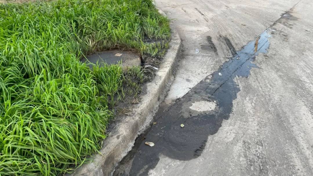 Vecinos de barrio Iriondo reclaman por desbordes cloacales y malos olores
