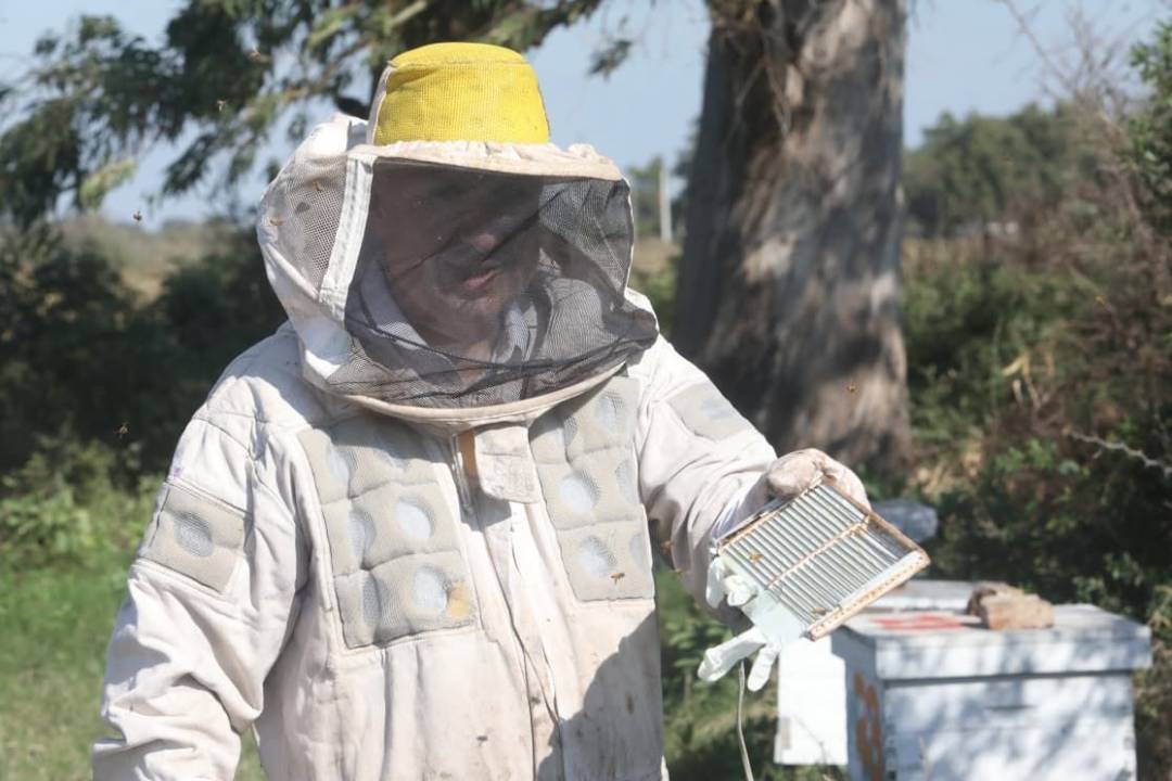 La plataforma sirvió para potenciar un emprendimiento apícola de Ceres