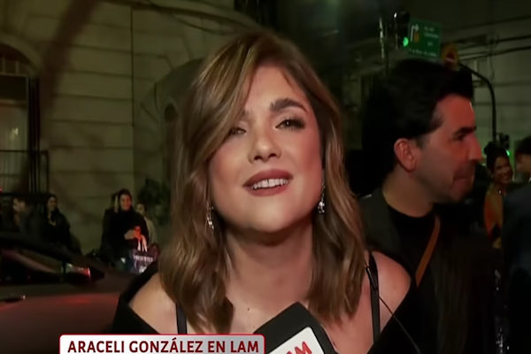 Araceli González habló sobre la crisis de las PYMES