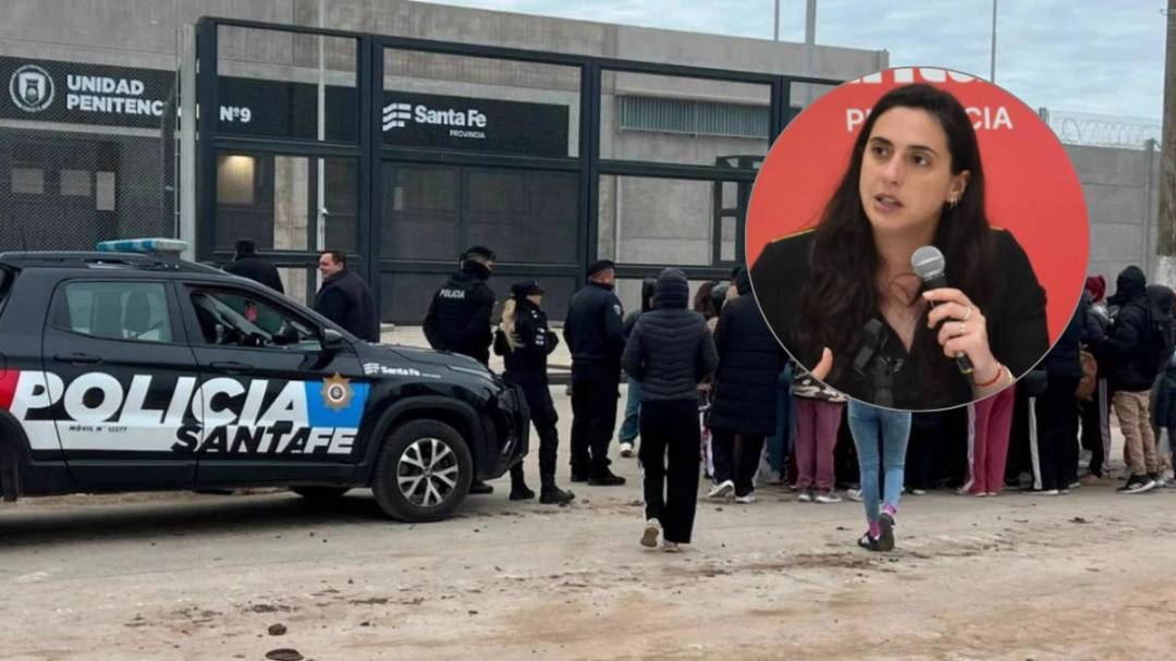 Masneri negó irregularidades y confirmó que las visitas comenzarán la próxima semana