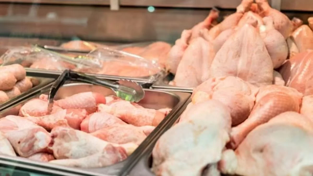 Por primera vez el consumo de pollo superó al de carne vacuna en Argentina: la mirada de productores avícolas santafesinos. - Google